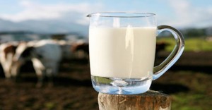 Milk nourishment for healthier life